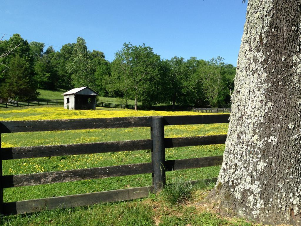 Full Circle Farm Inn Franklin Exteriör bild
